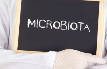 a composição da microbiota intestinal