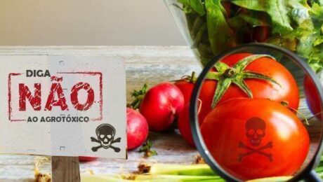 agrotóxicos e pesticidas