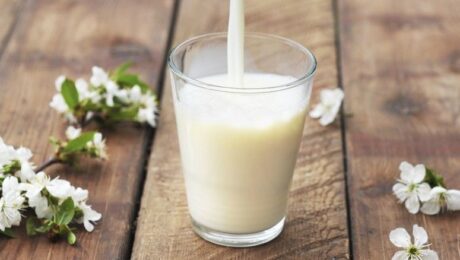 proteína do leite e probióticos